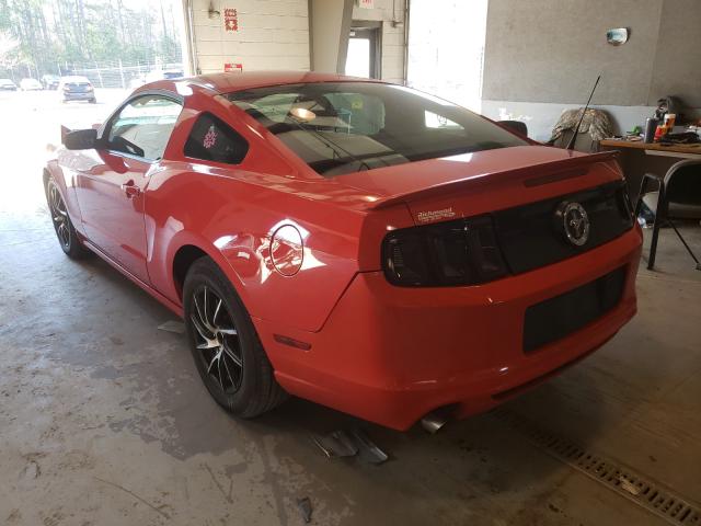 2013 FORD MUSTANG 1ZVBP8AM7D5200514