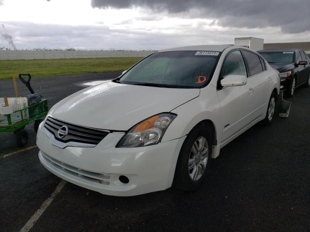 2010 NISSAN ALTIMA HYB 1N4CL2AP6AC126123