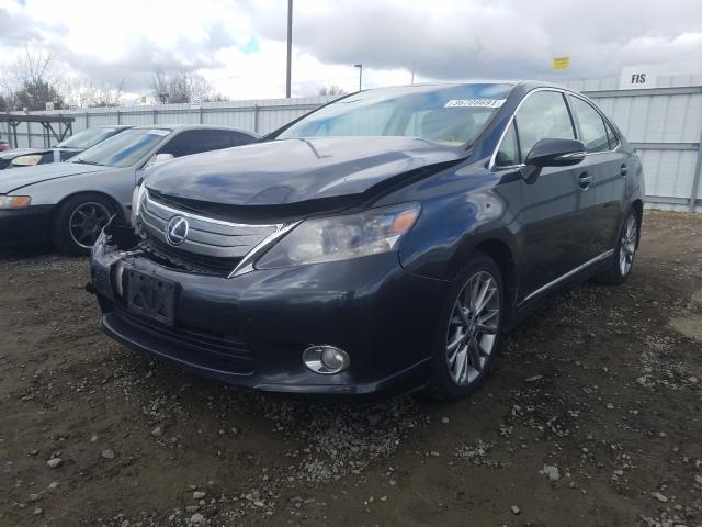 2010 LEXUS HS 250H JTHBB1BA8A2004705