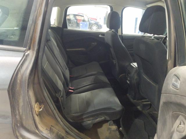 2013 FORD C-MAX SE 1FADP5AU0DL522620