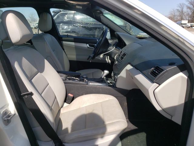 2010 MERCEDES-BENZ C 300 WDDGF5EB6AF405062