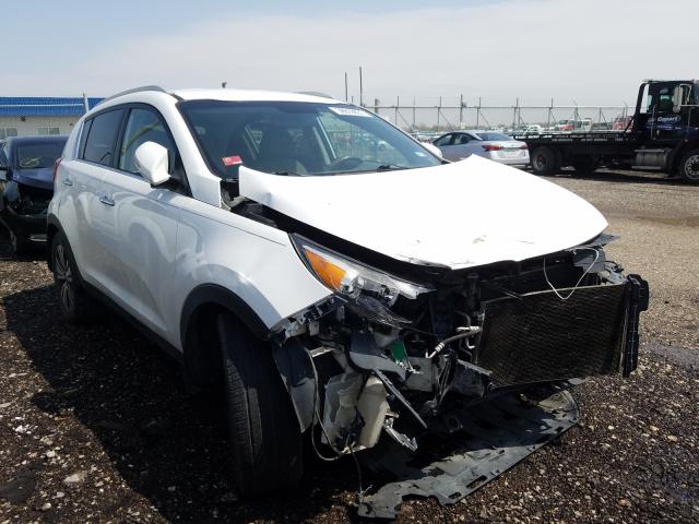 2014 KIA SPORTAGE E KNDPC3AC3E7632134