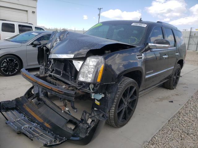 2010 CADILLAC ESCALADE 1GYUKCEF0AR207554