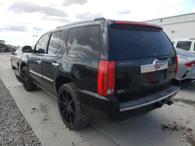 2010 CADILLAC ESCALADE 1GYUKCEF0AR207554
