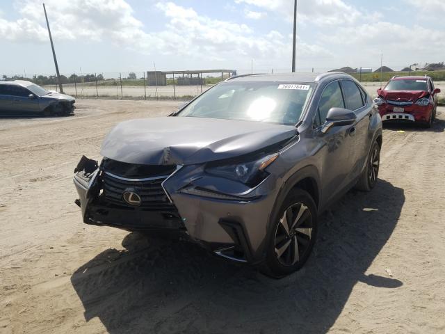 2019 LEXUS NX 300 BAS JTJYARBZ5K2149248