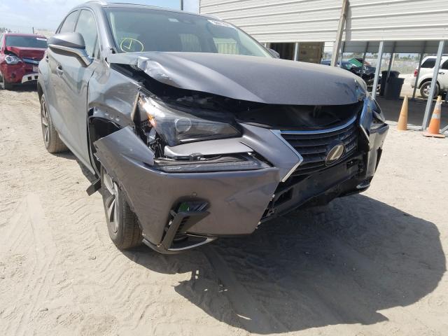 2019 LEXUS NX 300 BAS JTJYARBZ5K2149248