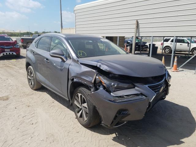 2019 Lexus Nx 300 Bas  (VIN: JTJYARBZ5K2149248)