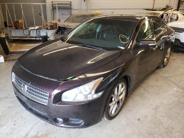 2010 NISSAN MAXIMA 1N4AA5AP5AC813706