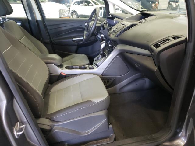 2014 FORD C-MAX SE 1FADP5AU9EL513819