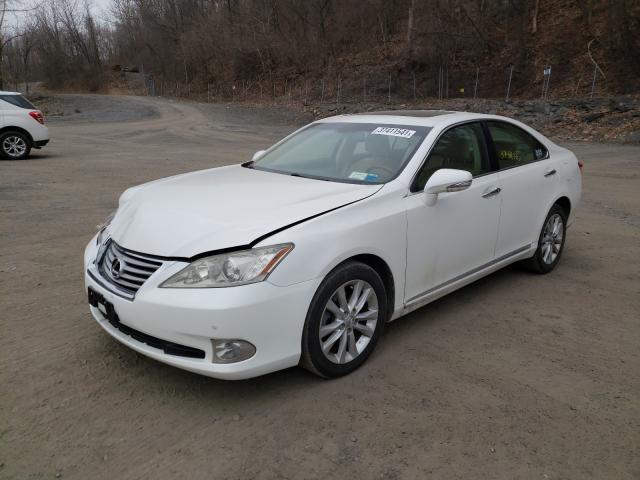 2011 LEXUS ES 350 JTHBK1EG3B2437799