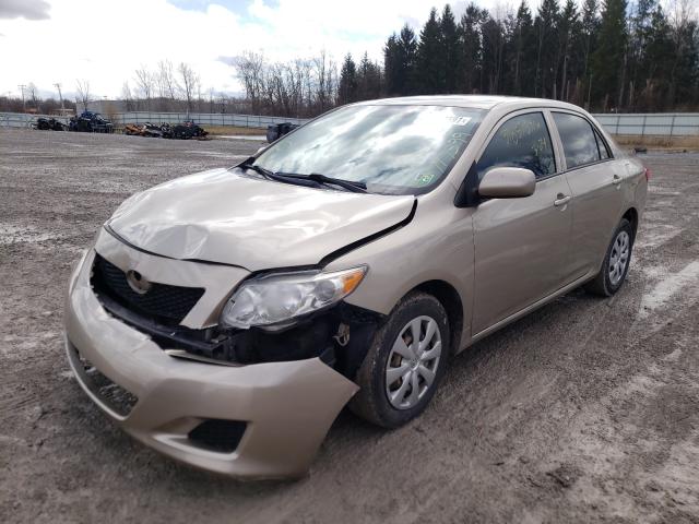 2010 TOYOTA COROLLA BA 2T1BU4EE4AC373395
