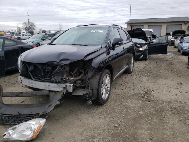 2011 LEXUS RX 450 JTJBC1BA4B2041182