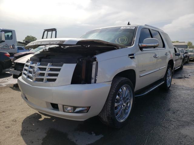 2011 CADILLAC ESCALADE 1GYS3AEF3BR388269