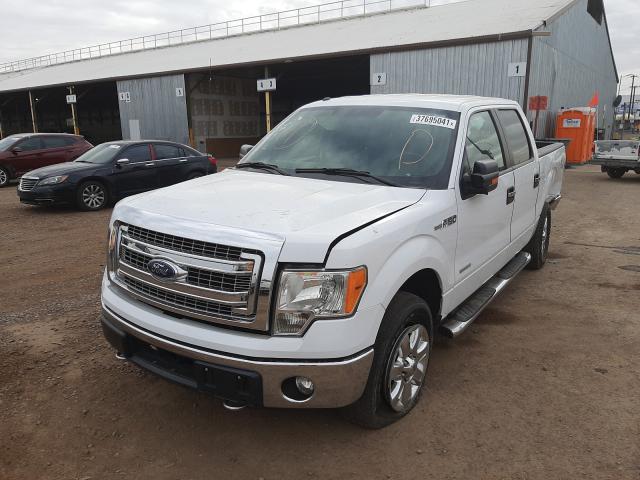 2014 FORD F150 4WD 1FTFW1ETXEKG20884