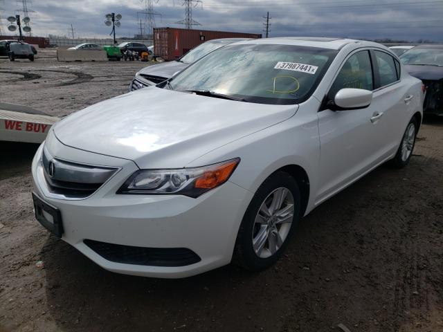 2013 ACURA ILX 20 19VDE1F31DE022590