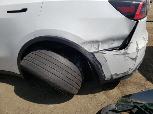 2020 TESLA MODEL Y 5YJYGDEE9LF036902