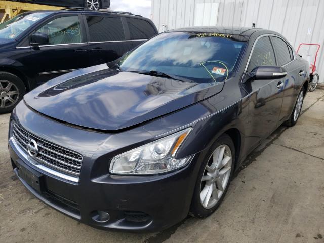 2011 NISSAN MAXIMA 1N4AA5AP7BC838849