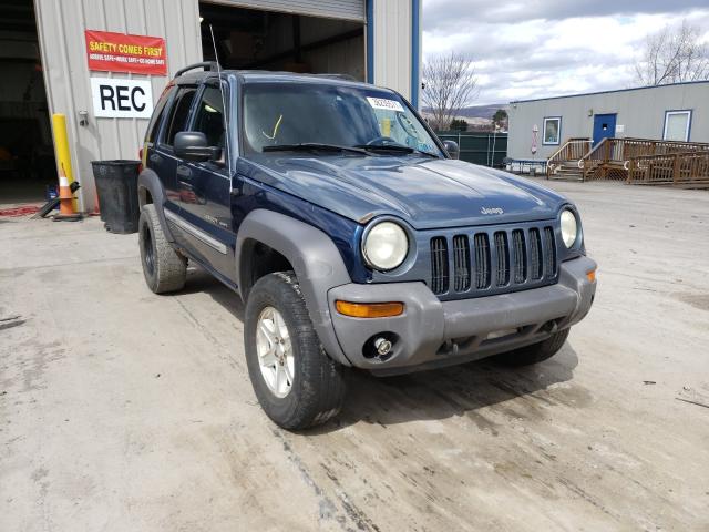 Jeep Liberty salvage cars for sale: 2002 Jeep Liberty