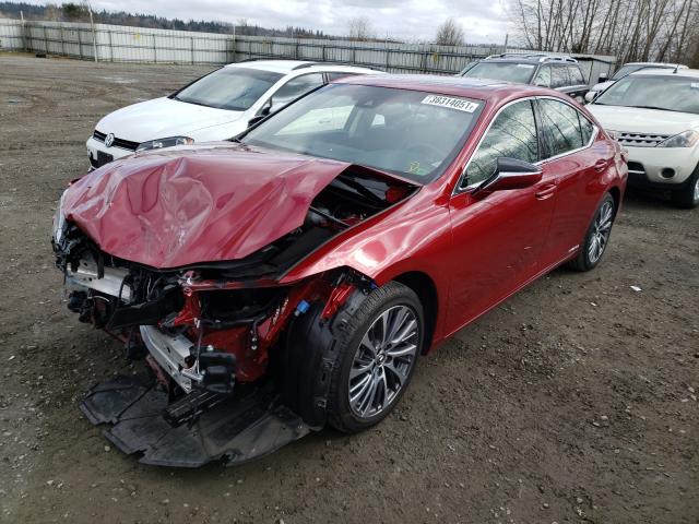 2019 LEXUS ES 300H JTHB21B16K2006163