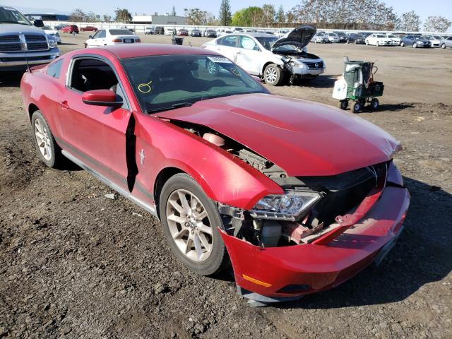 2010 FORD MUSTANG 1ZVBP8ANXA5112920