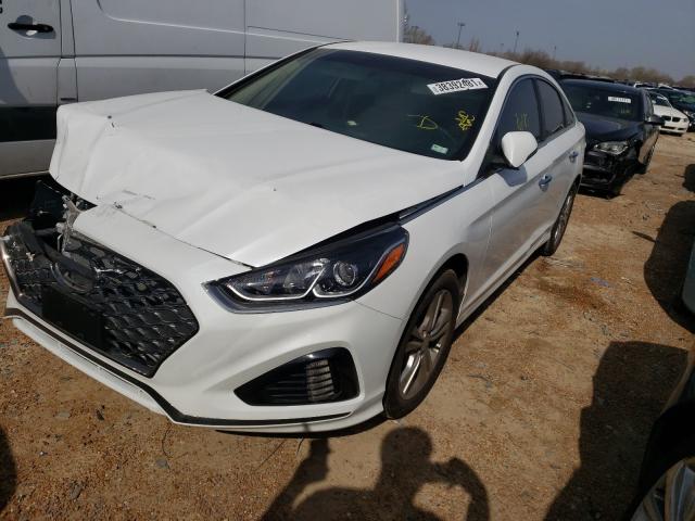 2019 HYUNDAI SONATA LIM 5NPE34AF5KH775102