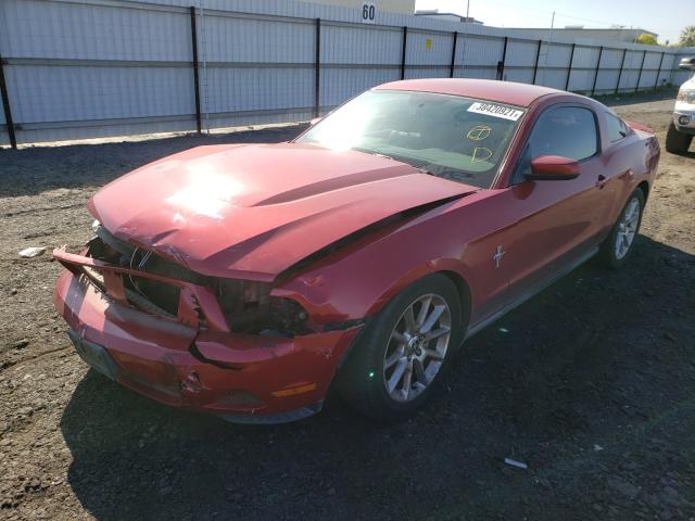 2010 FORD MUSTANG 1ZVBP8ANXA5112920