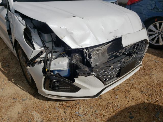 2019 HYUNDAI SONATA LIM 5NPE34AF5KH775102
