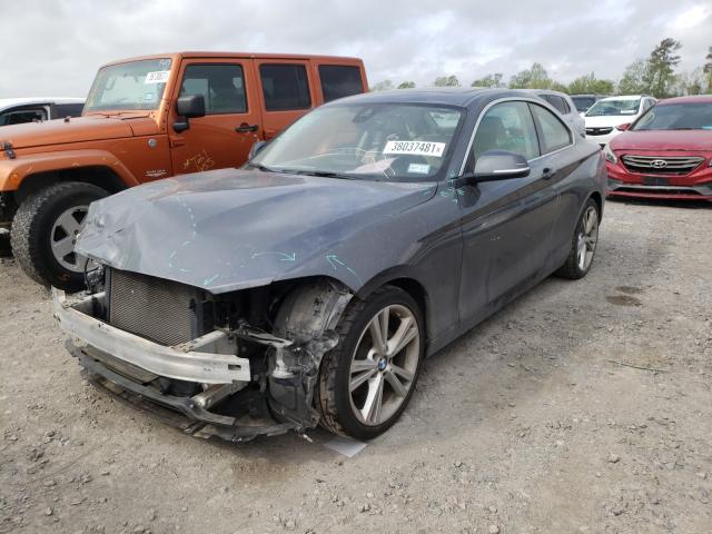 2014 BMW 228 I WBA1F5C53EV255319