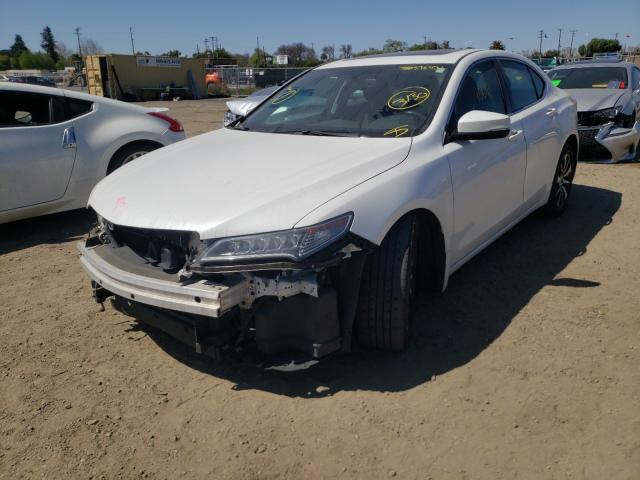 2015 ACURA TLX 19UUB1F38FA024246