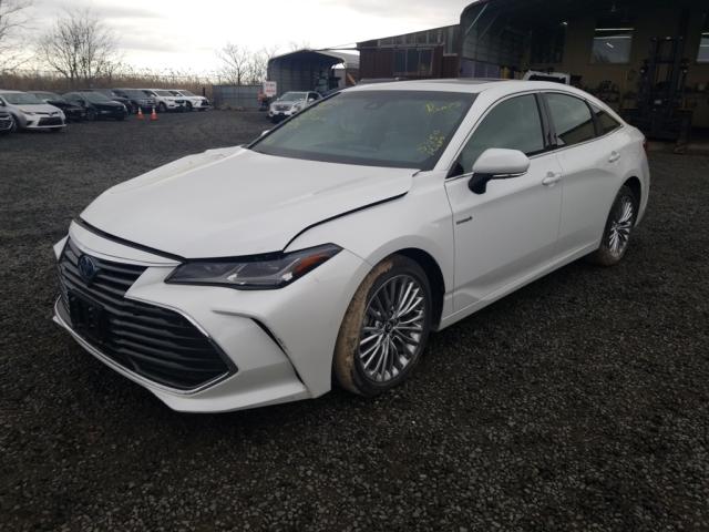 2019 TOYOTA AVALON XLE 4T1B21FB2KU006357