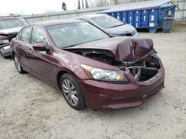 2012 HONDA ACCORD EXL 1HGCP2F85CA146041