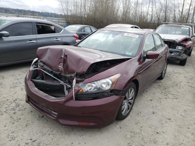 2012 HONDA ACCORD EXL 1HGCP2F85CA146041