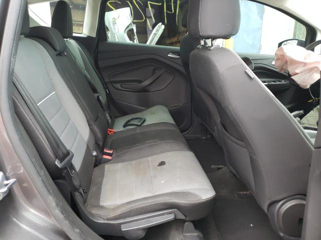 2013 FORD C-MAX SE 1FADP5AU5DL506140