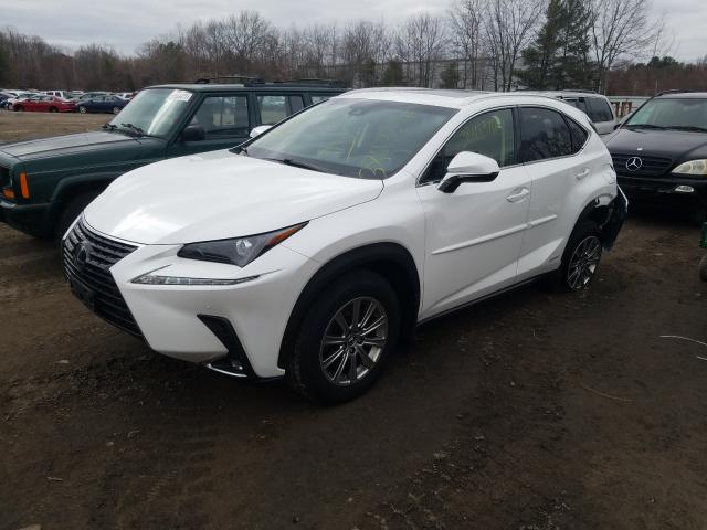 2019 LEXUS NX 300H JTJBJRBZ3K2113497