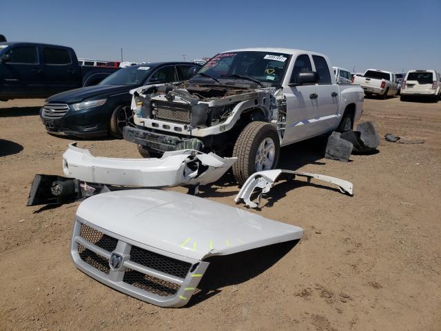 2011 DODGE DAKOTA SLT 1D7RW3GP6BS661913