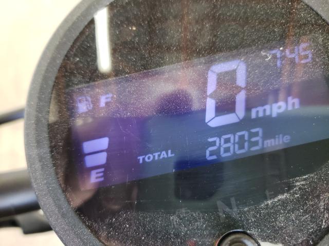 2019 HONDA CMX300 MLHNC5304K5201053