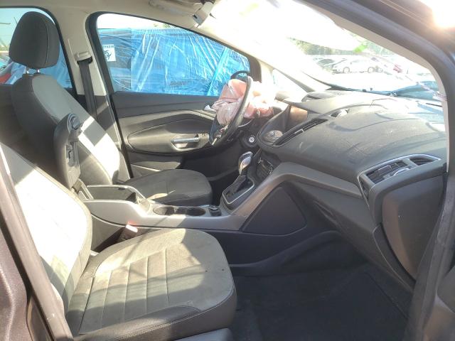 2013 FORD C-MAX SE 1FADP5AU5DL506140