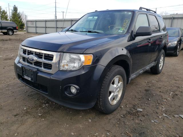 2011 FORD ESCAPE XLT 1FMCU9D75BKA50960