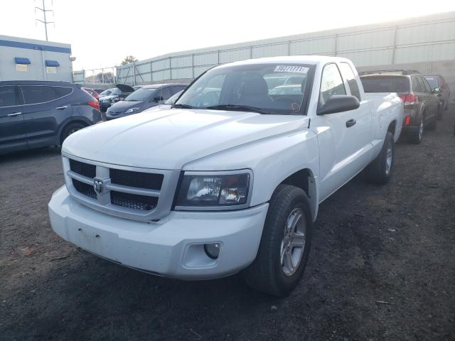 2011 DODGE DAKOTA SLT 1D7RE3BK5BS691662