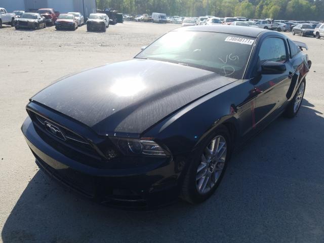 2013 FORD MUSTANG 1ZVBP8AM3D5262217