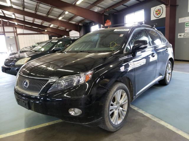 2010 LEXUS RX 450 JTJBC1BA9A2404204