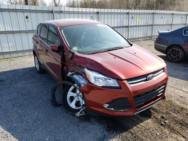 2014 FORD ESCAPE SE 1FMCU9GX3EUD41431