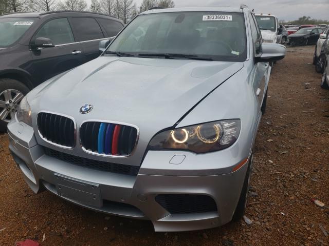 2010 BMW X5 M 5YMGY0C50ALK25153