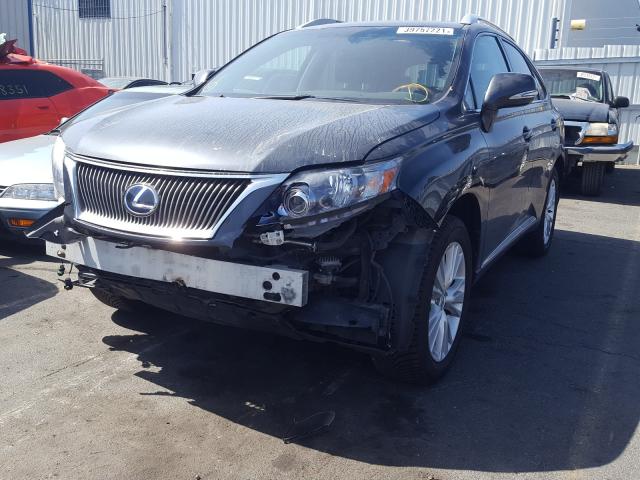 2010 LEXUS RX 450 JTJBC1BAXA2414465