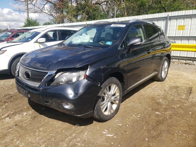2010 LEXUS RX 450 JTJBC1BA0A2007352
