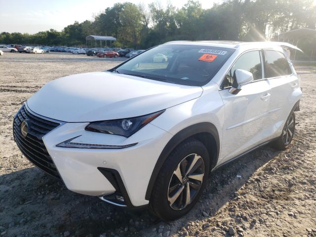 2019 LEXUS NX 300 BAS JTJBARBZ9K2211871