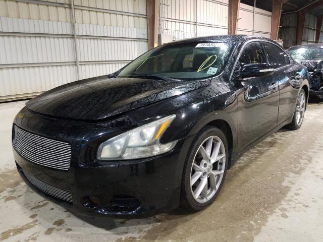 2011 NISSAN MAXIMA S 1N4AA5AP5BC856427