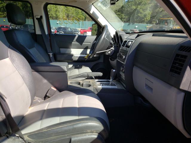 2010 DODGE NITRO SXT 1D4PU5GX7AW100651