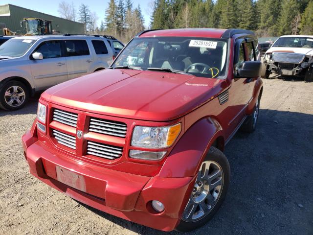 2010 DODGE NITRO SXT 1D4PU5GX7AW100651