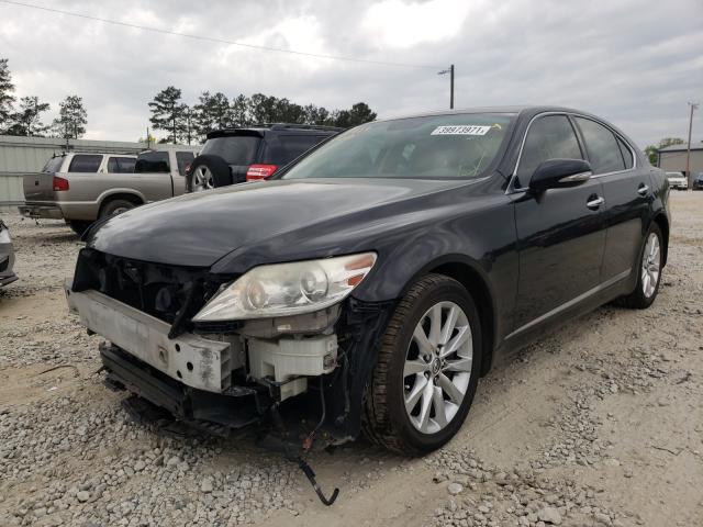 2011 LEXUS LS 460 JTHCL5EF7B5011399